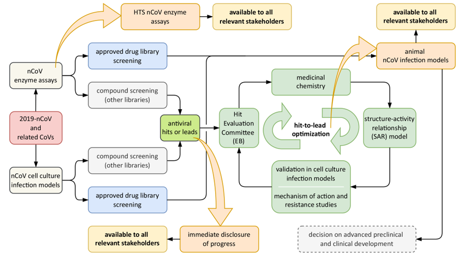 Overview of SCORE antiviral drug development pipeline, employing both cell culture-based screening and in vitro enzymatic assays to select hits/leads to be further optimized by medicinal chemistry. 